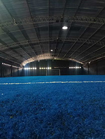 San Diego Canchas